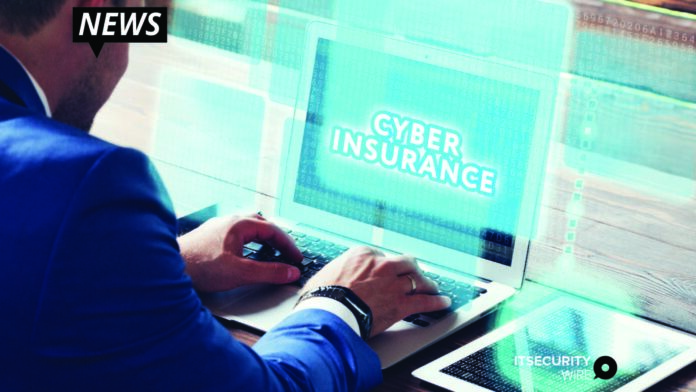 Cyber Insurance and Risk Management