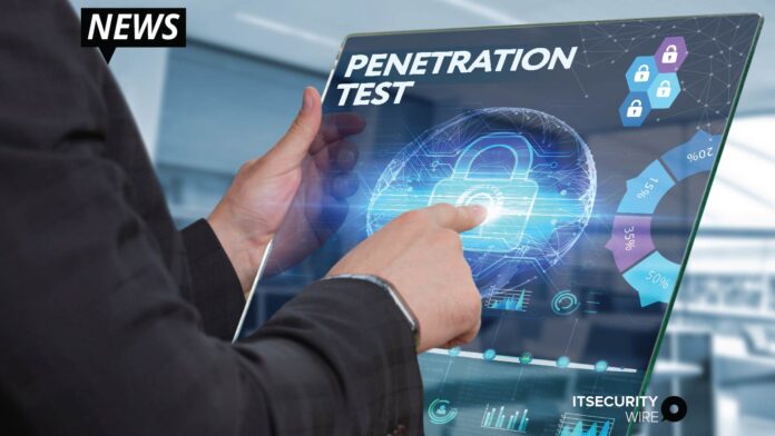 affordable penetration testing to small