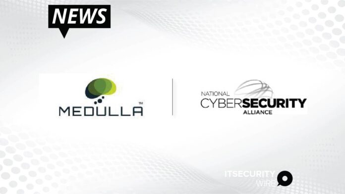TVG-Medulla_ LLC Announces Commitment to Promoting Online Safety for Cybersecurity Awareness Month-01