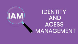 The Role of IAM in Remote and Mobile Access